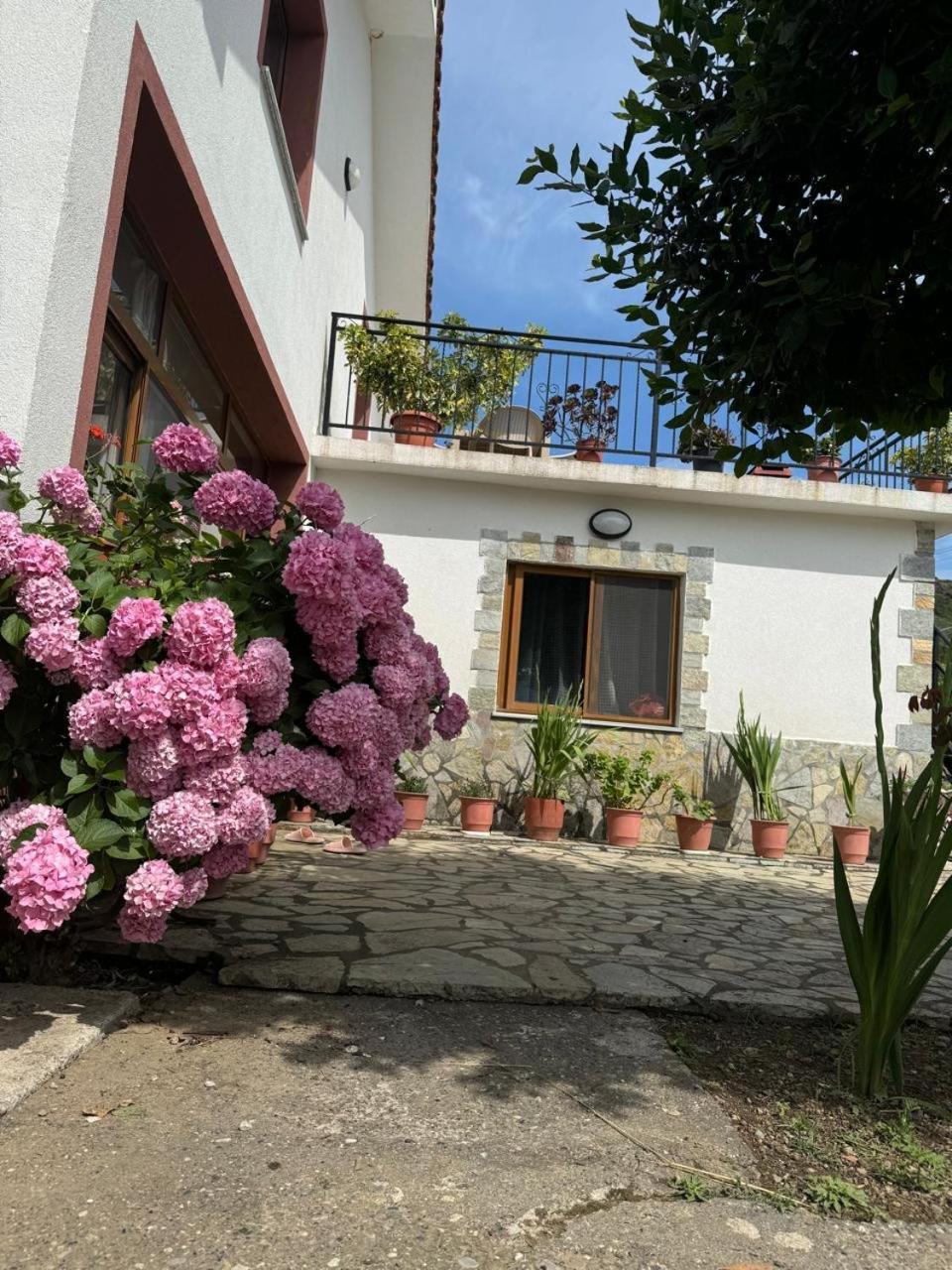 Villa Zefi Rrenc Papaj Exterior foto
